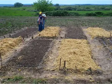 Huerto ecológico, Carcaboso Huerto ecológico, Carcaboso