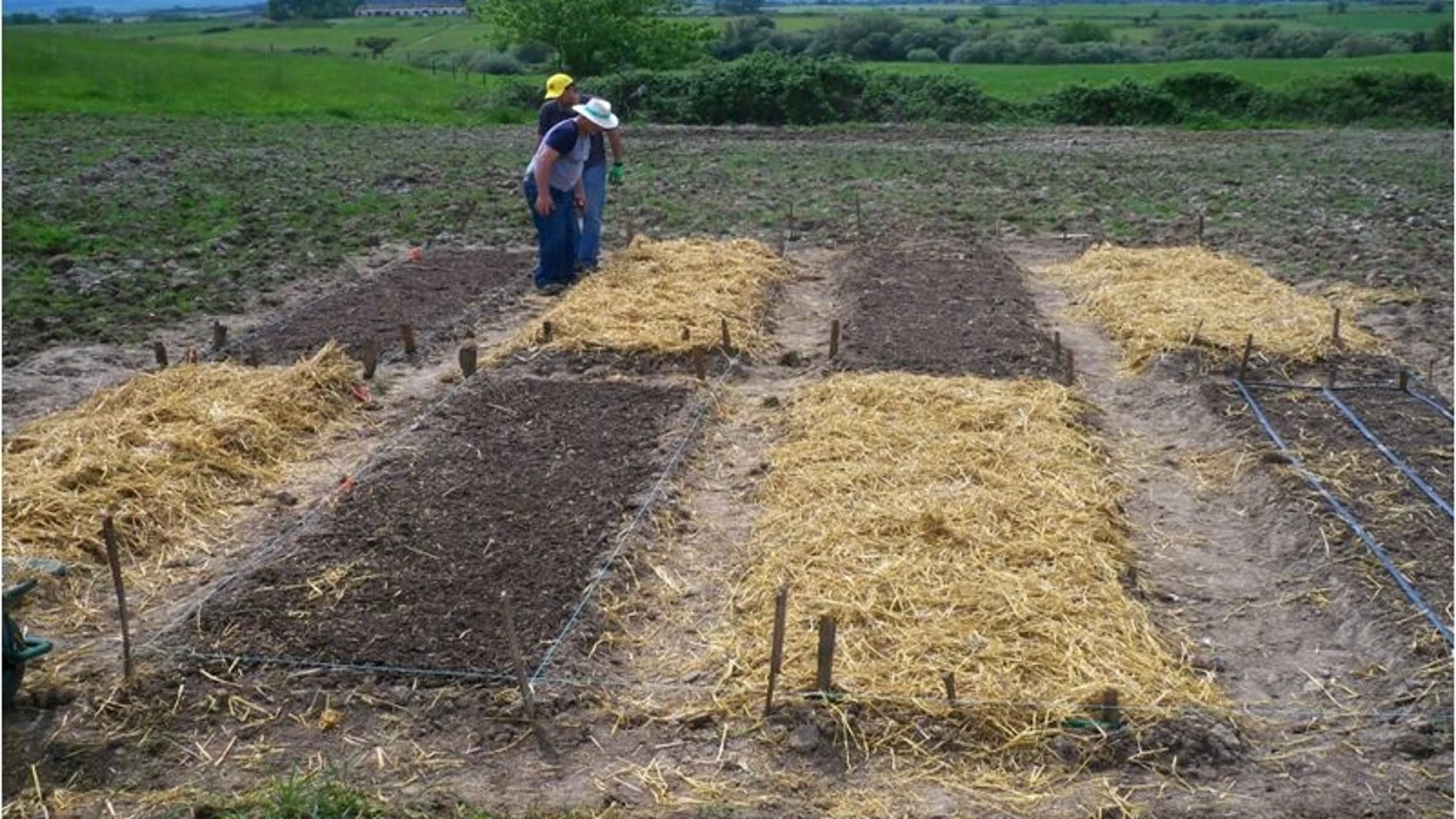 Huerto ecológico, Carcaboso Huerto ecológico, Carcaboso