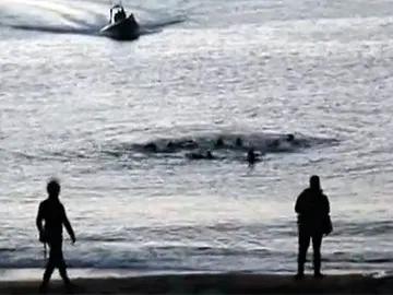 Inmigrantes tratan de entrar a nado en España Inmigrantes tratan de entrar a nado en España