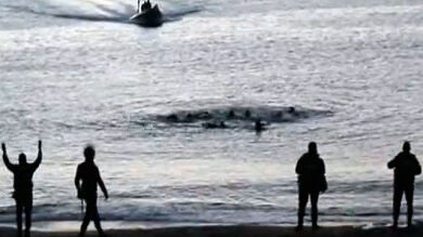 El material antidisturbio de la Guardia Civil 