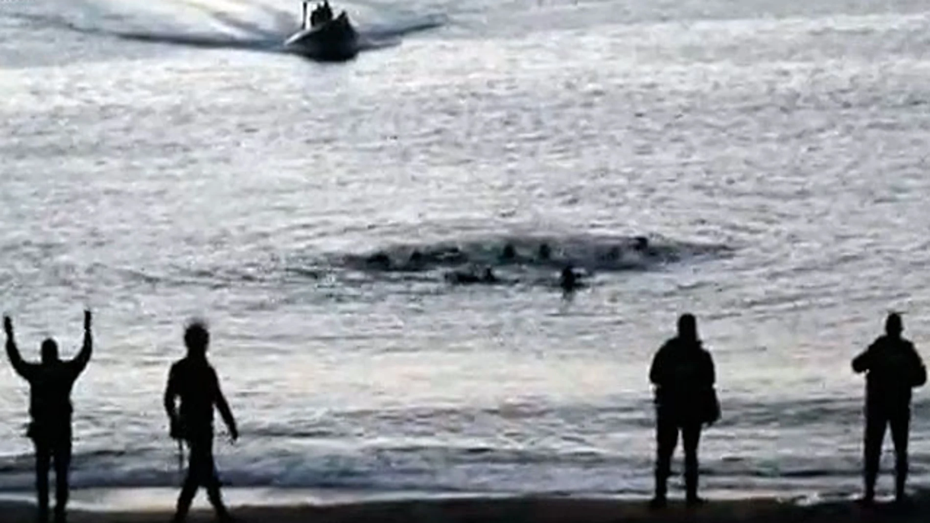Inmigrantes tratan de entrar a nado en España Inmigrantes tratan de entrar a nado en España