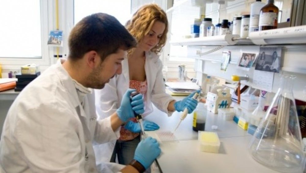 Descubren . las instrucciones del genoma para generar células de páncreas