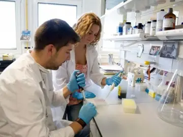 Descubren . las instrucciones del genoma para generar células de páncreas Descubren . las instrucciones del genoma para generar células de páncreas