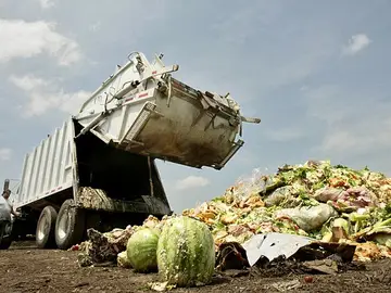 Comida en la basura Comida en la basura