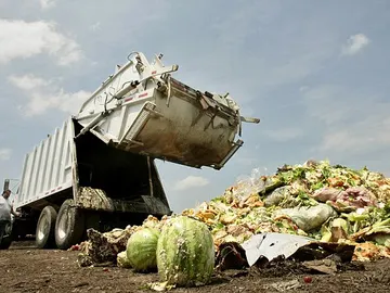 Comida en la basura Comida en la basura