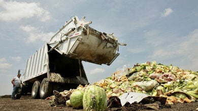 Las familias españolas desperdician 604 millones de kilos de comida cada año