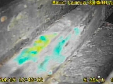Vídeo del segundo robot que entró al reactor 1 de Fukushima