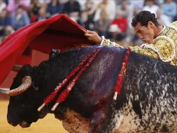 El diestro Pepe Moral durante la faena de su segundo toro El diestro Pepe Moral durante la faena de su segundo toro