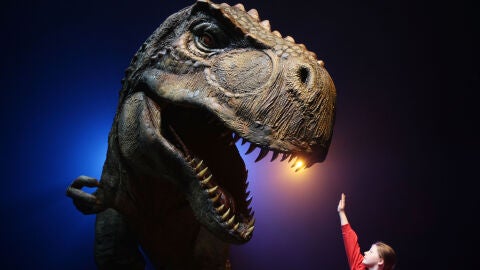 Un ni&ntilde;o observa una maqueta de dinosaurio