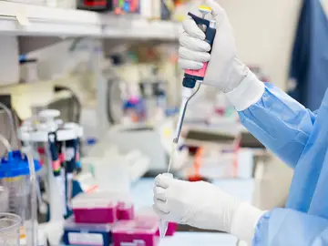 Científicos investigando Científicos investigando
