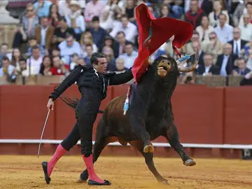 El diestro José Mari Manzanares da un pase de pecho instantes después de ser volteado por su segundo toro El diestro José Mari Manzanares da un pase de pecho instantes después de ser volteado por su segundo toro