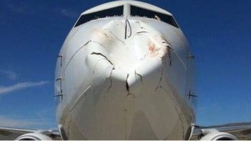 Los pájaros destrozan el morro de un Boeing