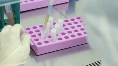 Hallan un tipo de célula madre que abre una nueva vía para crear órganos