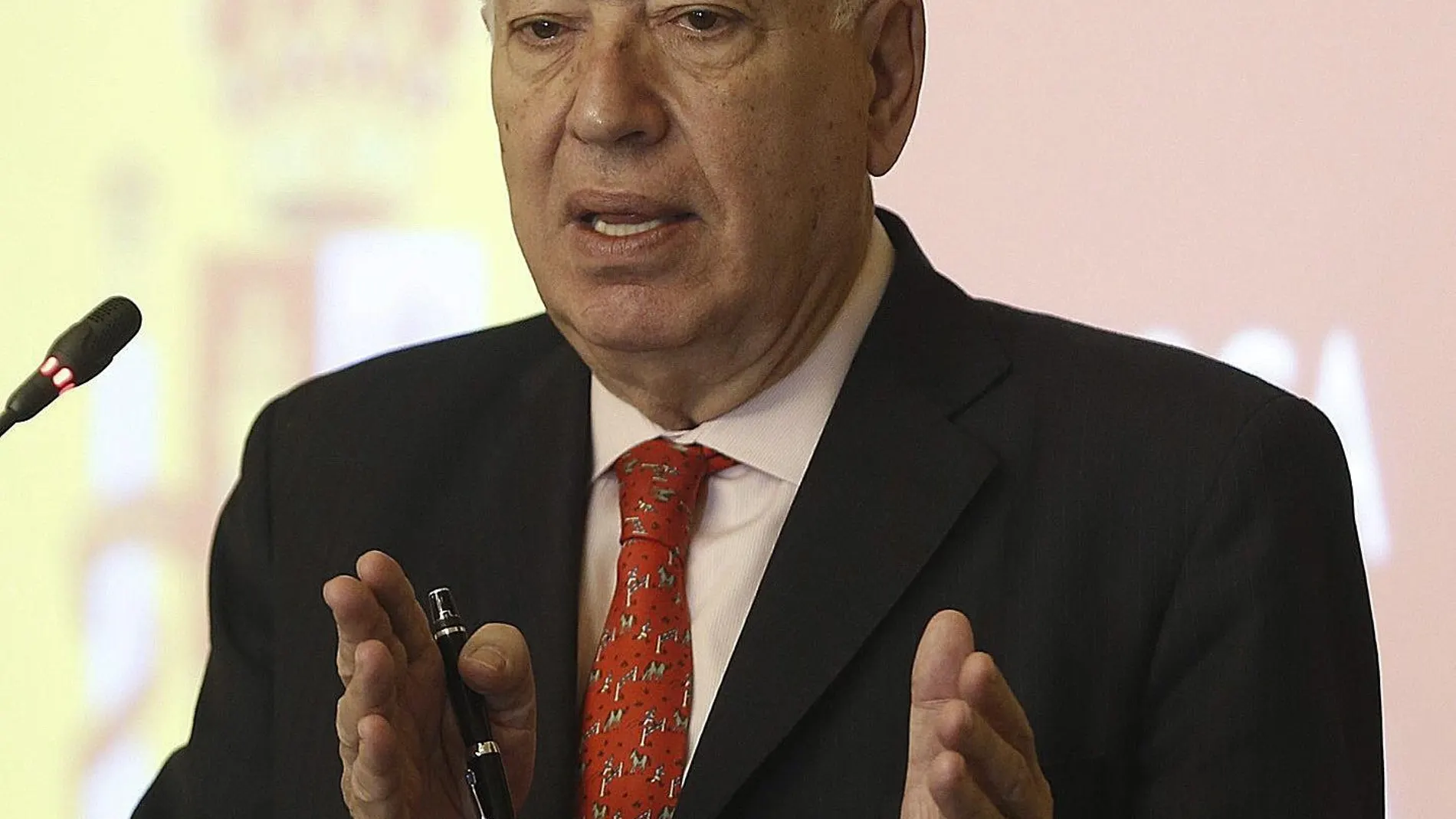 José Manuel García-Margallo, ministro de Asuntos Exteriores José Manuel García-Margallo, ministro de Asuntos Exteriores