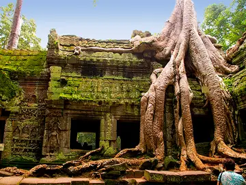 El famoso templo Ta Phrom, en Camboya. El famoso templo Ta Phrom, en Camboya.