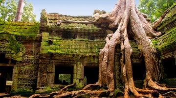 El famoso templo Ta Phrom, en Camboya.
