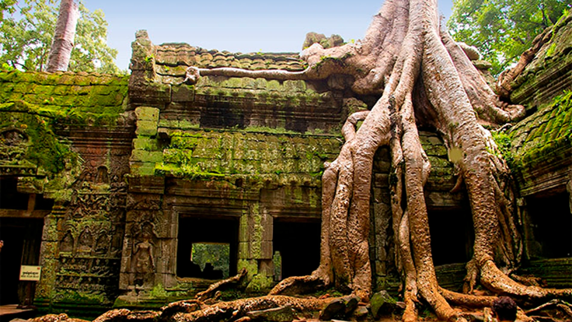 El famoso templo Ta Phrom, en Camboya. El famoso templo Ta Phrom, en Camboya.