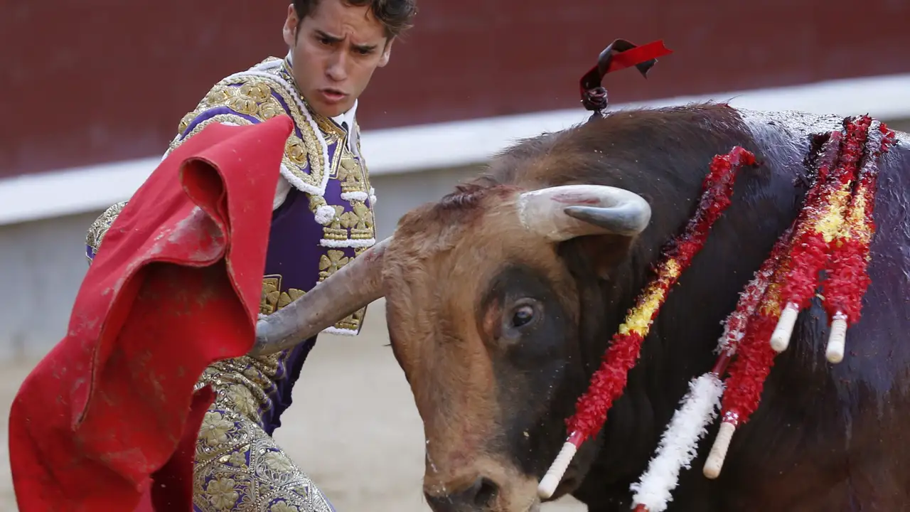 Posada de Maravillas" da un pase a uno de sus astados en el undécimo festejo de la Feria de San Isidro en Las Ventas