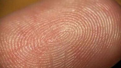 Consiguen detectar drogas a través de las huellas dactilares