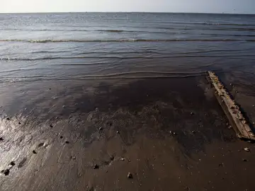 Un oleoducto se rompe en California y vierte 80 mil litros de petróleo Un oleoducto se rompe en California y vierte 80 mil litros de petróleo