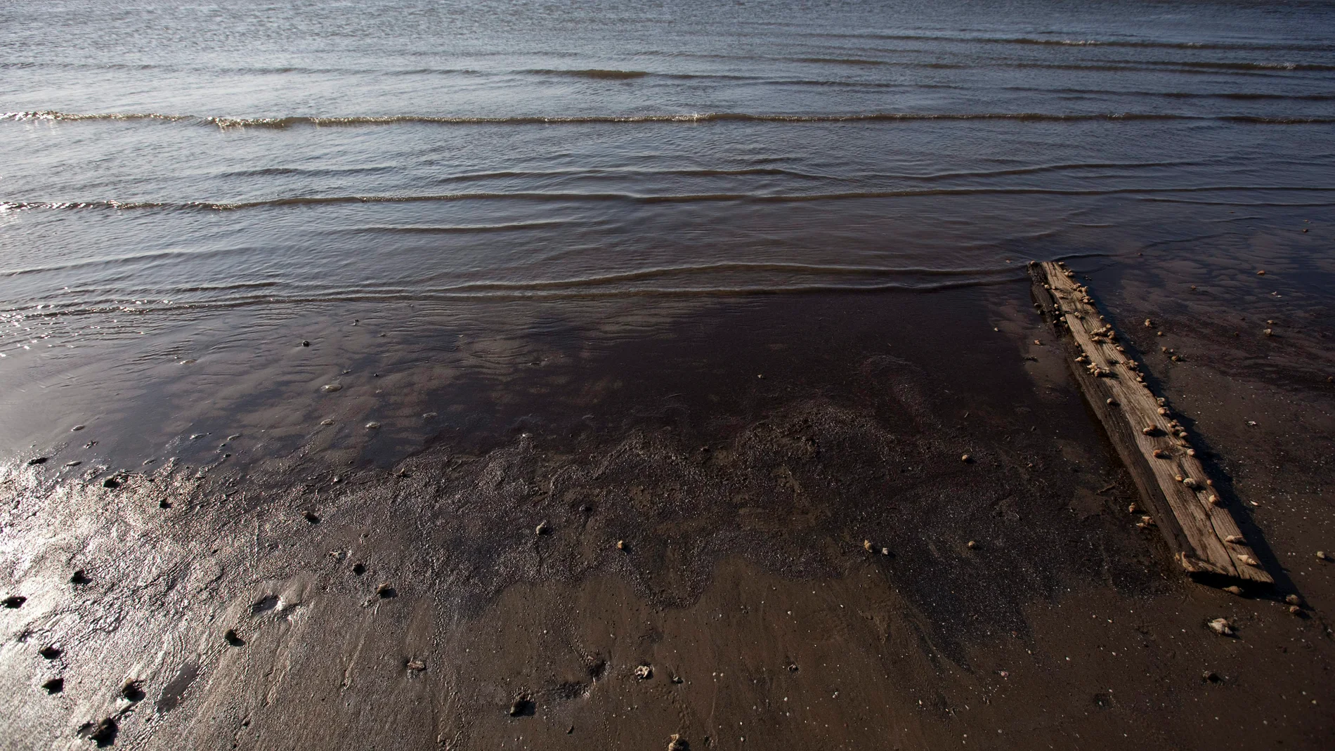 Un oleoducto se rompe en California y vierte 80 mil litros de petróleo Un oleoducto se rompe en California y vierte 80 mil litros de petróleo