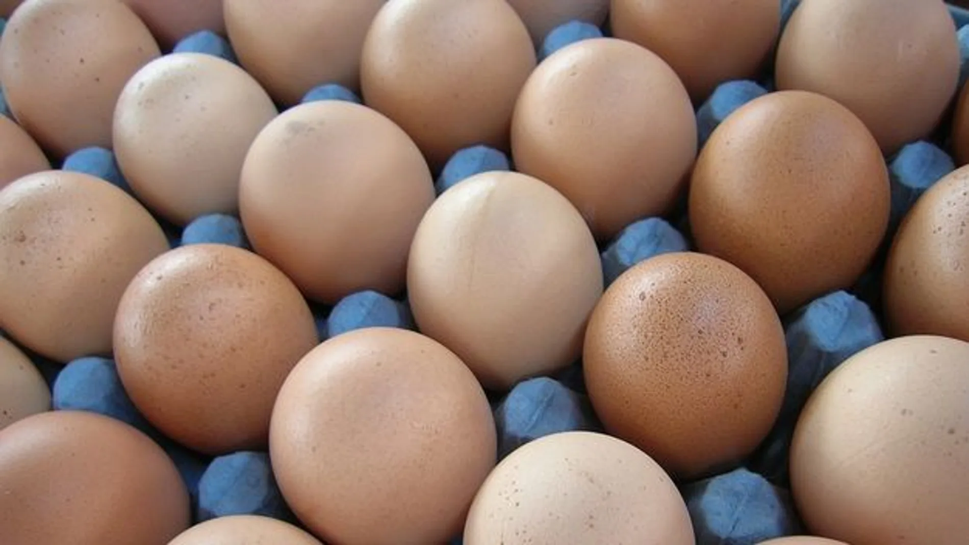 Varias docenas de huevos Varias docenas de huevos