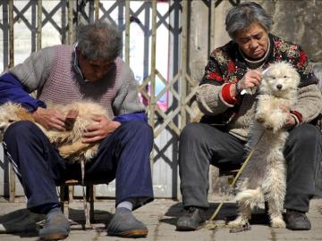 Dos ancianos chinos peinan a sus mascotas en la calle. Dos ancianos chinos peinan a sus mascotas en la calle.