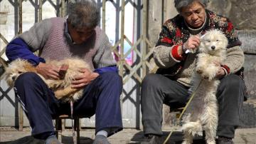 Dos ancianos chinos peinan a sus mascotas en la calle.