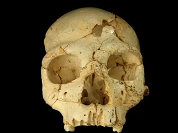 El primer asesinato demostrado El primer asesinato demostrado