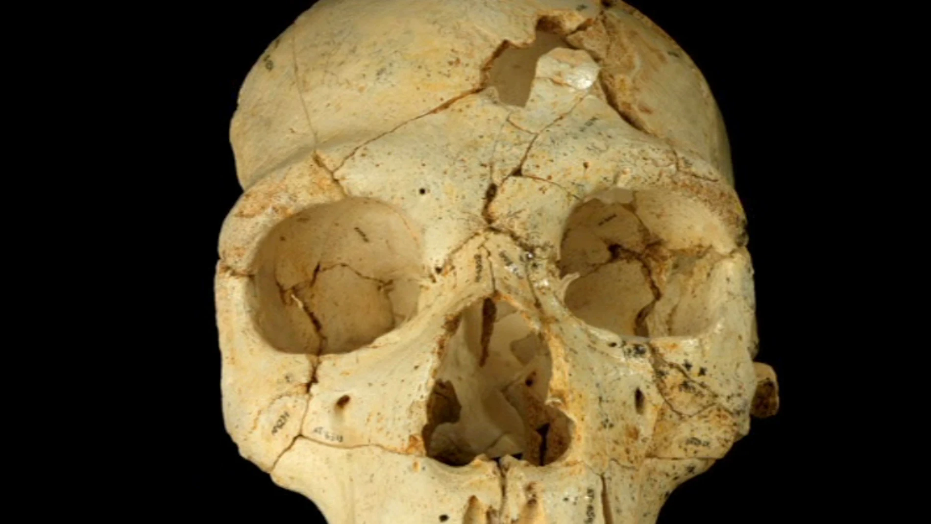 El primer asesinato demostrado El primer asesinato demostrado