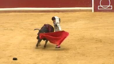 Los cambios políticos marcarán el futuro de las corridas de toros