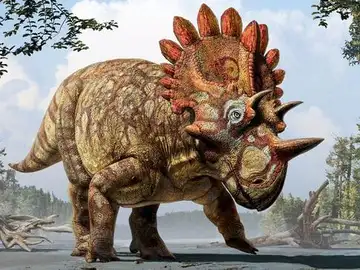 Recreación artística de 'Hellboy', el nuevo dinosaurio con cuernos Recreación artística de 'Hellboy', el nuevo dinosaurio con cuernos