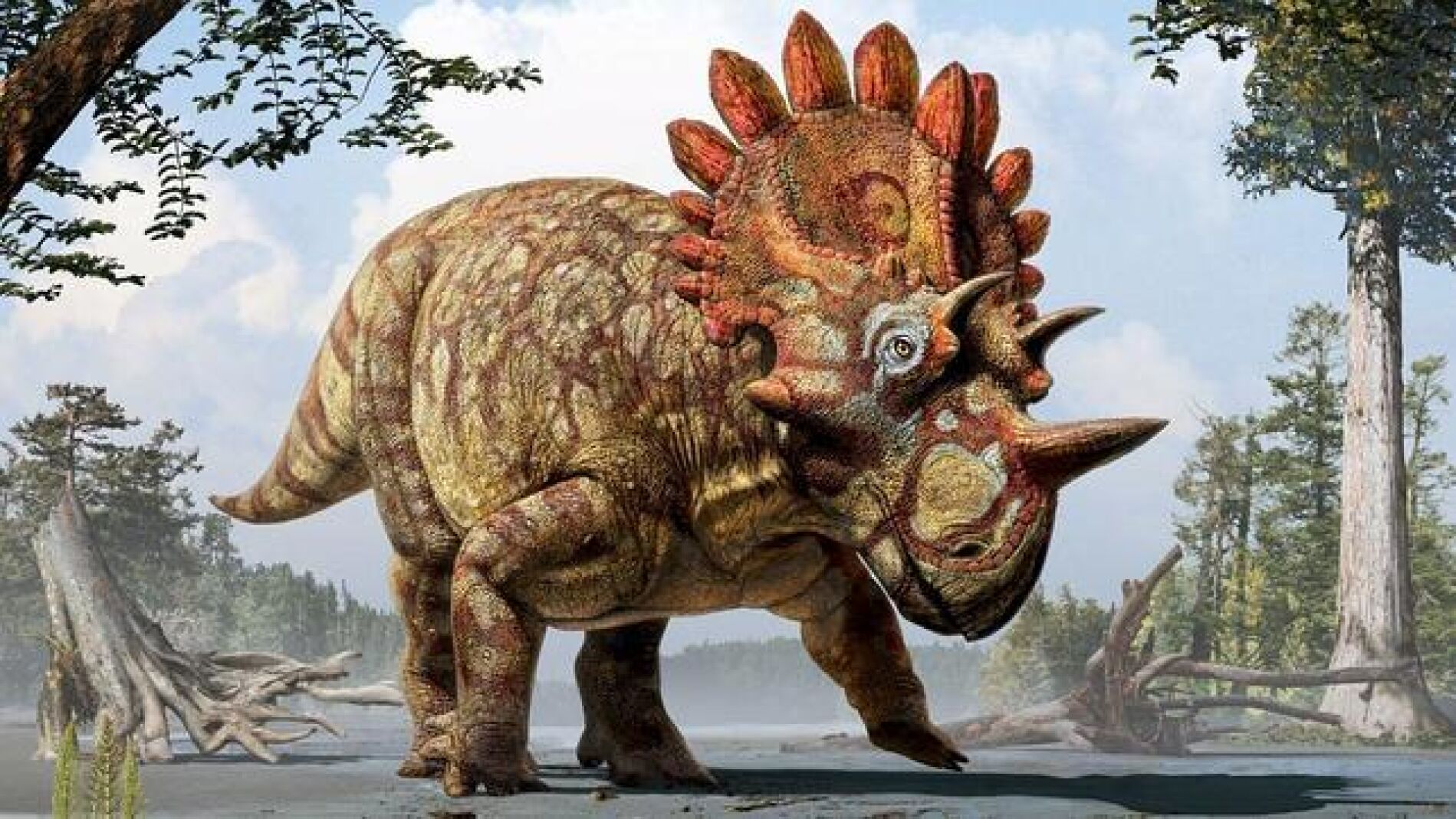 Recreaci&oacute;n art&iacute;stica de 'Hellboy', el nuevo dinosaurio con cuernos