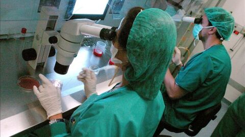 Dos t&eacute;cnicos de laboratorio trabajando con &aacute;ntrax