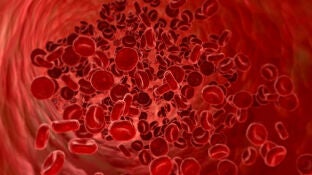 El coronavirus se siente "particularmente atra&iacute;do" por el grupo sangu&iacute;neo A seg&uacute;n un estudio