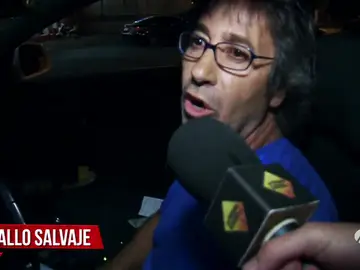 Caballo Salvaje el español del año Caballo Salvaje el español del año