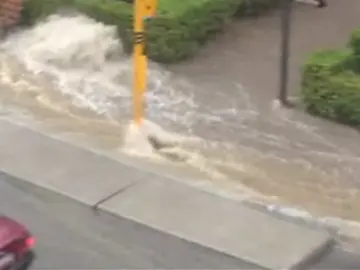 Lluvia Figueras Lluvia Figueras