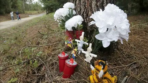 Varios ramos de flores y juguetes en un altar improvisado donde fue hallada sin vida la niña Asunta Basterra Varios ramos de flores y juguetes en un altar improvisado donde fue hallada sin vida la niña Asunta Basterra