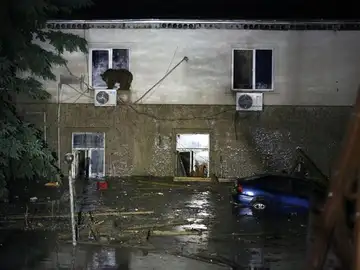 Un oso se sube a la ventana de una vivienda Un oso se sube a la ventana de una vivienda