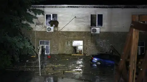 Un oso se sube a la ventana de una vivienda Un oso se sube a la ventana de una vivienda