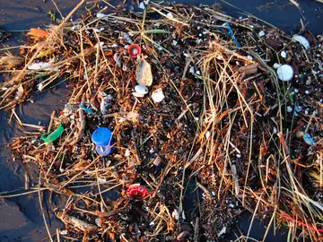 ¿Puede limpiarse el océano de plástico? ¿Puede limpiarse el océano de plástico?