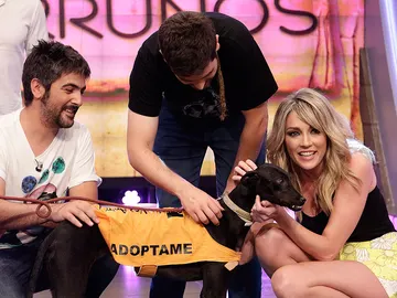 Estopa, Anna Simon y Xena en El Hormiguero 3.0 Estopa, Anna Simon y Xena en El Hormiguero 3.0