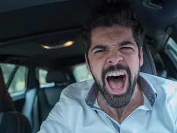 Bruno en el coche Bruno en el coche