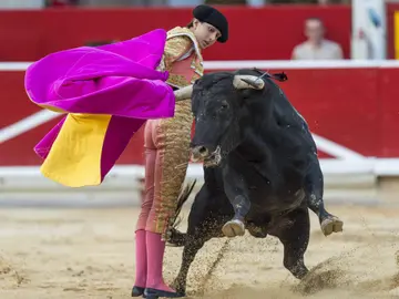 Roca Rey en una arriesgada 'gaonera' en la novillada de Pamplona Roca Rey en una arriesgada 'gaonera' en la novillada de Pamplona