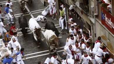 Los toros de Jandilla, un 'clásico' en Sanfermines y sinónimo de velocidad, y peligro