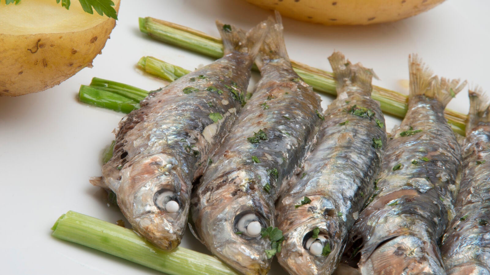 100 gramos diarios de sardina son buenos para los diabéticos y previene las enfermedades cardiovasculares