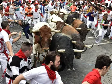 Los toros de la Ganadería del Tajo - Ganadería La Reina llegan hermanados a la curva de Teléfonica Los toros de la Ganadería del Tajo - Ganadería La Reina llegan hermanados a la curva de Teléfonica