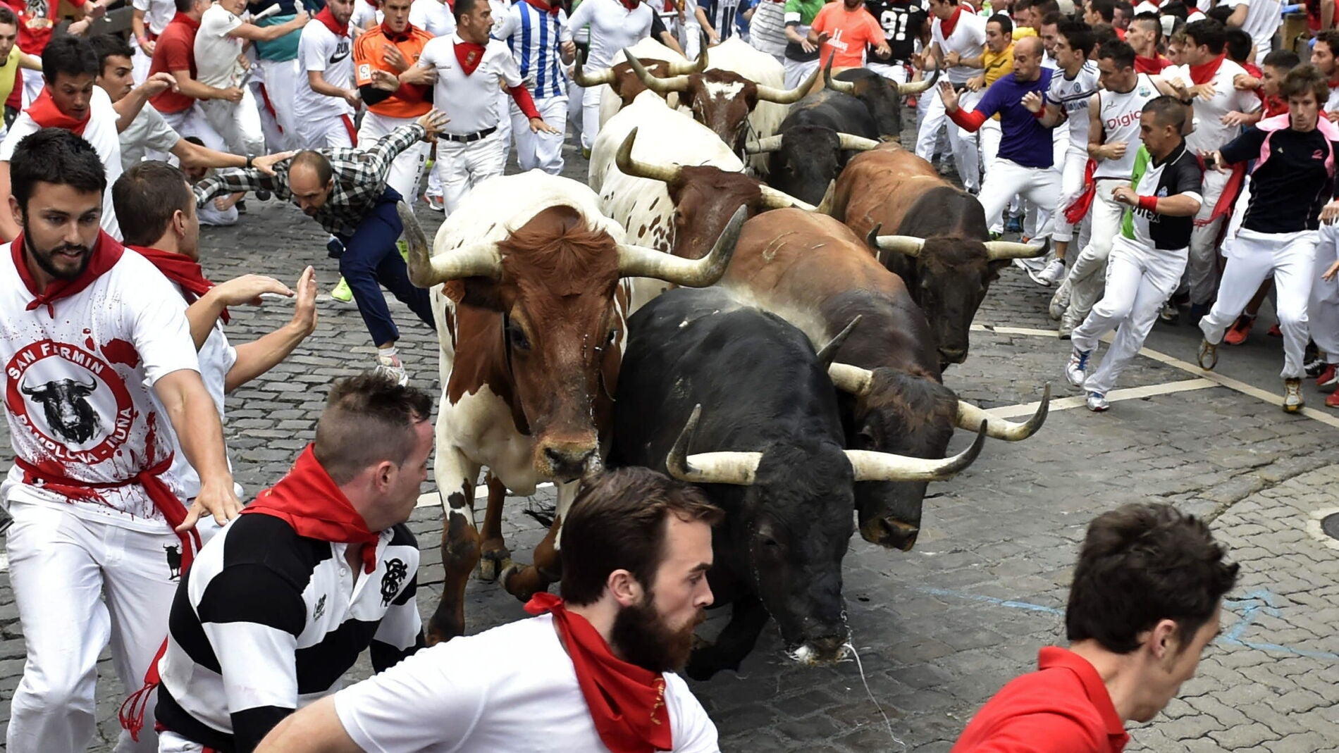  Los toros de la Ganader&iacute;a del Tajo - Ganader&iacute;a La Reina llegan hermanados a la curva de Tel&eacute;fonica