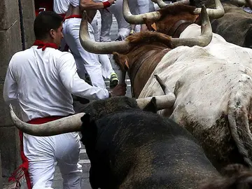La ganadería de Miura es la más asidua en la feria del toro de Pamplona La ganadería de Miura es la más asidua en la feria del toro de Pamplona