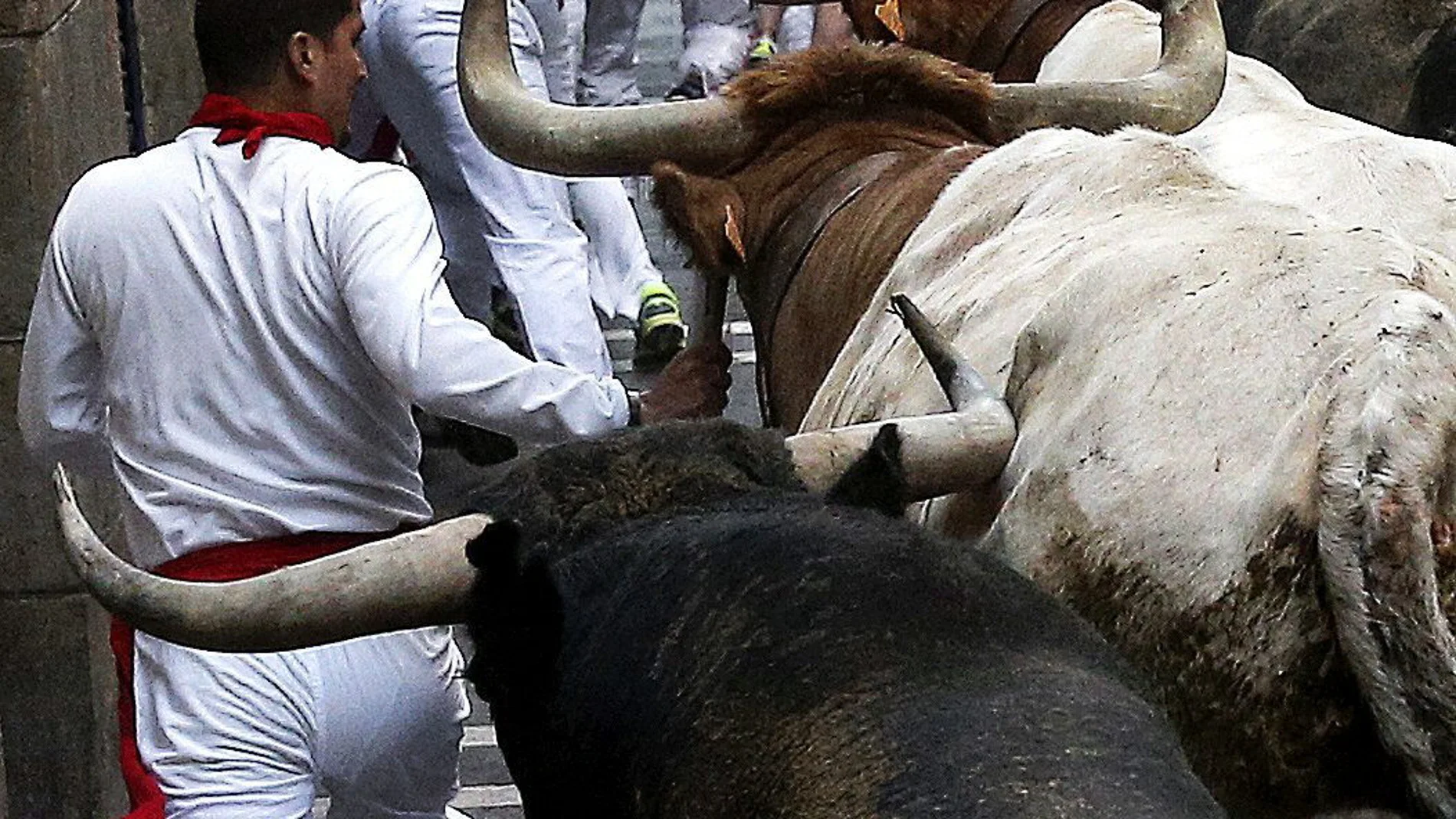 La ganadería de Miura es la más asidua en la feria del toro de Pamplona
